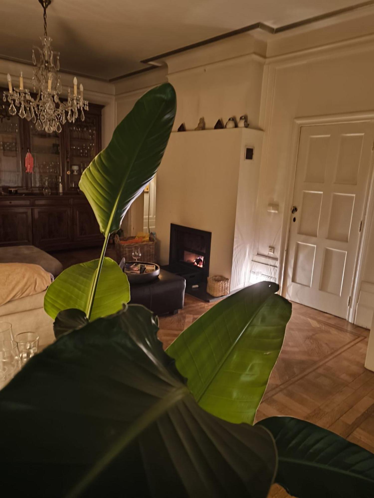 Le Castel Mosan Apartamento Namur Exterior foto