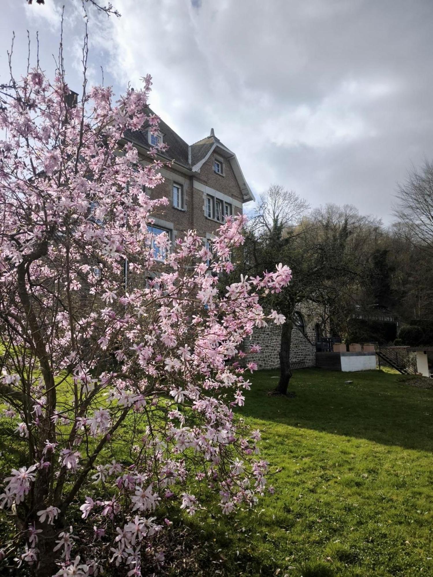 Le Castel Mosan Apartamento Namur Exterior foto